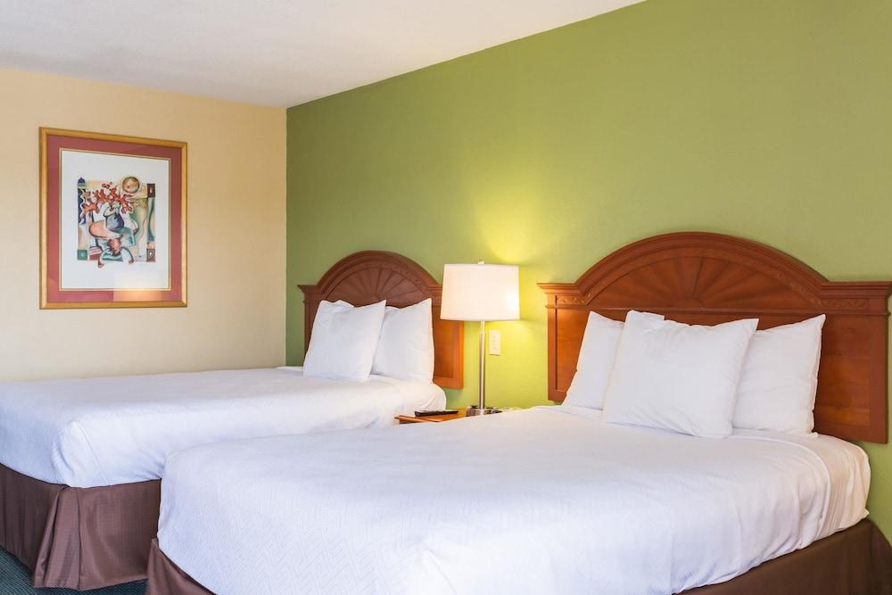 Econo Lodge White Pine Morristown I-81 & I-40 Split Zewnętrze zdjęcie